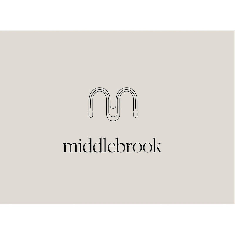 Middlebrook Wind Gap 32-inch Sliding Barn Door Cabinet