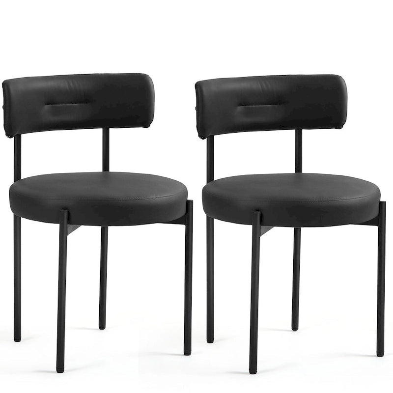 AVAWING Dining Chairs Mid-Century Modern Kitchen Chairs Set of 2