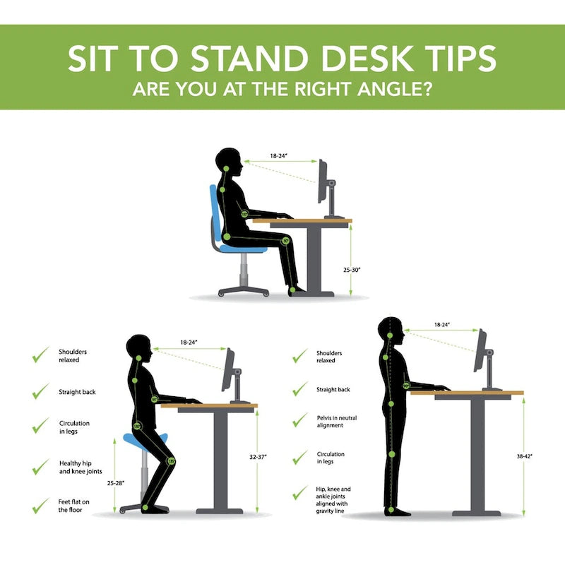 Energize 55W x 24D Height Adjustable Standing Desk by Bush Furniture